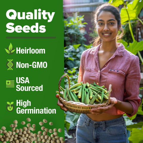 Clemson Spineless Okra Seeds - 202 Seeds (2-Pack) - Tender Pods