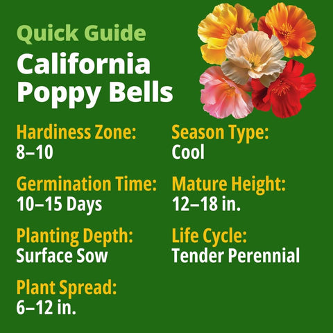 Mission Bells California Poppy Seeds - 2,200 Seeds - Drought-Tolerant