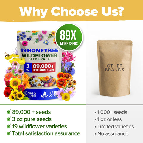 Honeybee Wildflower Seed Mix - 89,000+ Seeds (3 oz) - 19 Varieties