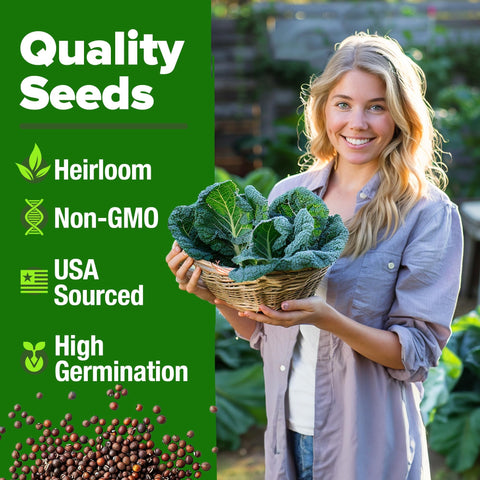Georgia Southern Collard Seeds - 600 Seeds (2-Pack) - Heirloom Greens