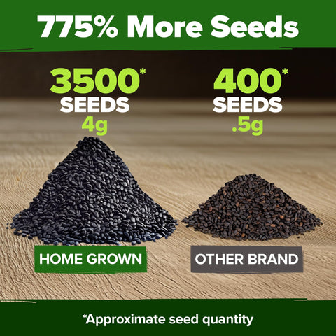 Genovese Basil Seeds Kit – 1,750 Non-GMO Heirloom Seeds with Pots & Soil for Indoor/Outdoor Growing