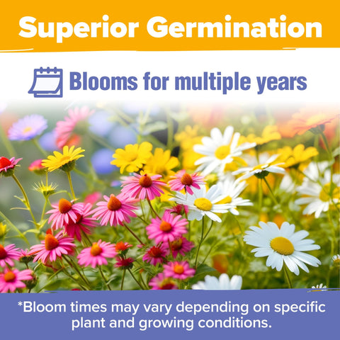 Perennial Wildflower Seed Mix - 25 Varieties (4 oz) - Covers ~500 Sq Ft