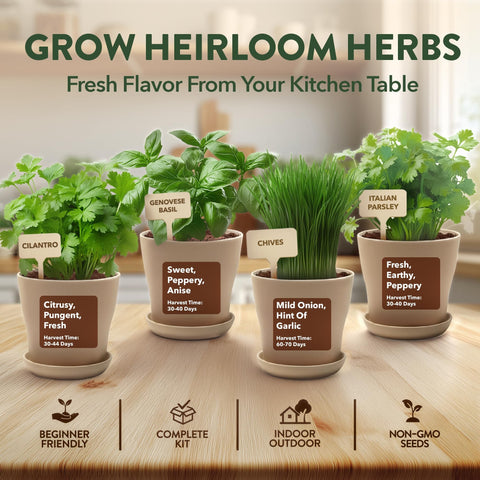 Indoor Herb Garden Kit - 4 Herb Varieties - Pots, Soil & Seeds