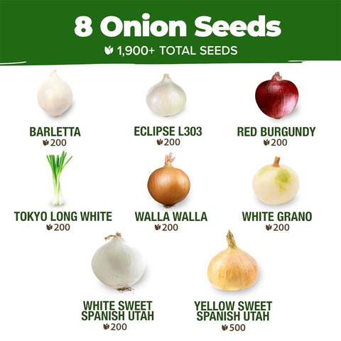Onion Seed Pack - 8 Varieties - High Germination
