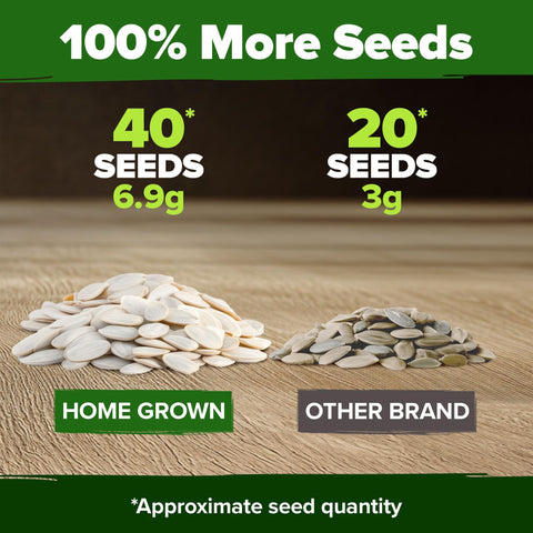 Pumpkin Seed Mix - 5 Varieties (40 Seeds) - Decorative & Edible