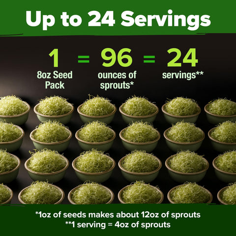 Alfalfa Sprouting Seeds - 8 oz - Non-GMO USA Grown