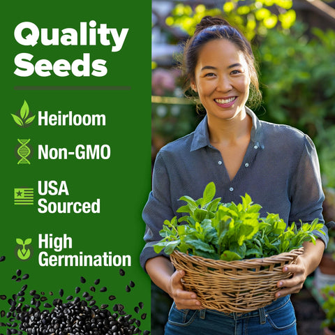 Common Mint Seeds - 2 Packs of 1,800 - Fast-Growing Hardy Herb