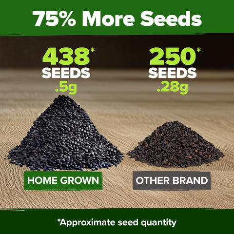 Thai Basil Seeds - 438 Seeds - Aromatic Heirloom