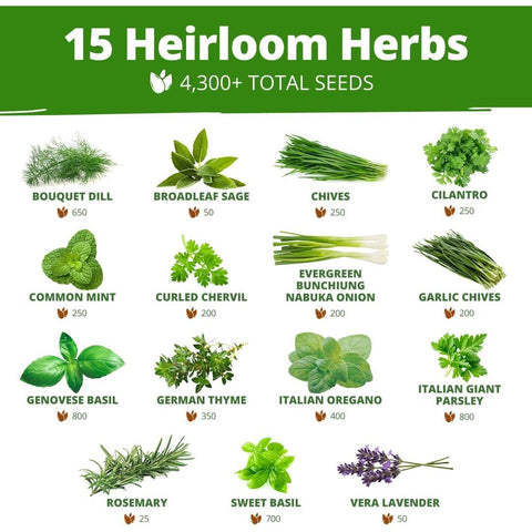 Herb & Vegetable Seed Vault - 70 Varieties (32,000+ Seeds)