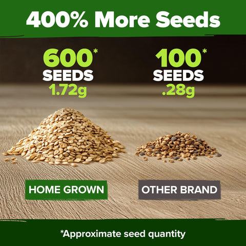 Beefsteak Tomato Seeds - 600 Seeds (2-Pack) - Classic Heirloom Slicer