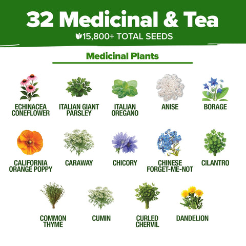 Medicinal Herb Seed Pack - 32 Varieties - Tea & Wellness Garden
