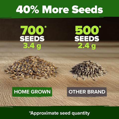 Bachelor's Button Seeds Mix - 700 Seeds - Tall Wildflower Blend
