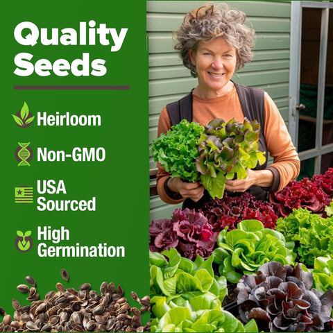 Lettuce and Leafy Greens Seeds - (8 Variety)