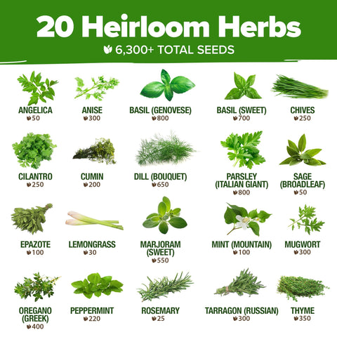 Herb Seed Pack - 20 Varieties (6,000+ Seeds) - With Plant Markers