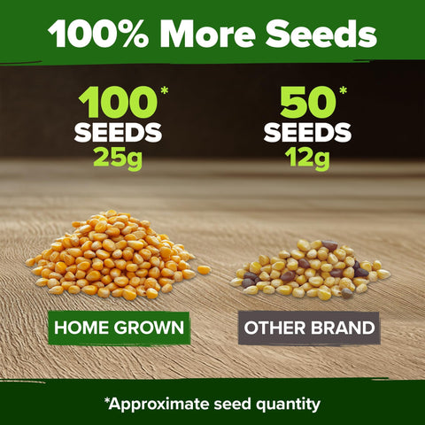 Golden Bantam Sweet Corn Seeds - 100 Seeds - Classic Heirloom
