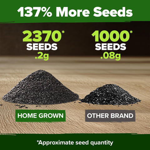 Peppermint Seeds - 2,370 Seeds - Classic Tea & Cooking Herb