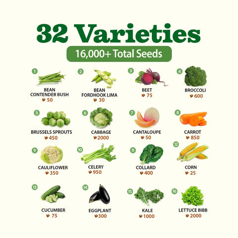 Heirloom Vegetable Seeds - (32 Variety)