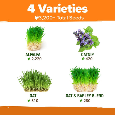 Cat Grass & Herb Seed Pack - 4 Varieties - For Indoor Cats