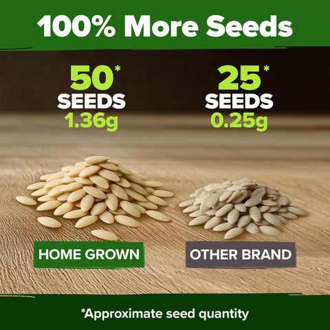 Beit Alpha Persian Cucumber Seeds - 100 Seeds - Harvest in 50-60 Days