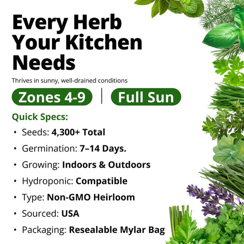 Culinary Herb Seed Vault - (15 Variety)