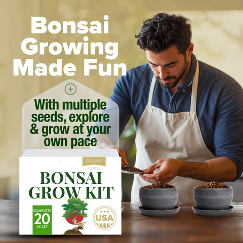 Deluxe Bonsai Tree Kit