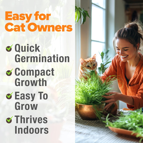 Organic Cat Grass Seeds - 4 oz - Oat & Barley Blend