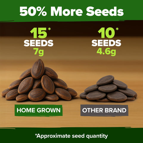 Organic Crimson Sweet Watermelon Seeds - 15 Seeds - 20-25 lb Melons