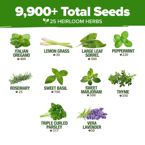 Culinary Herb Seed Vault - (25 Variety)