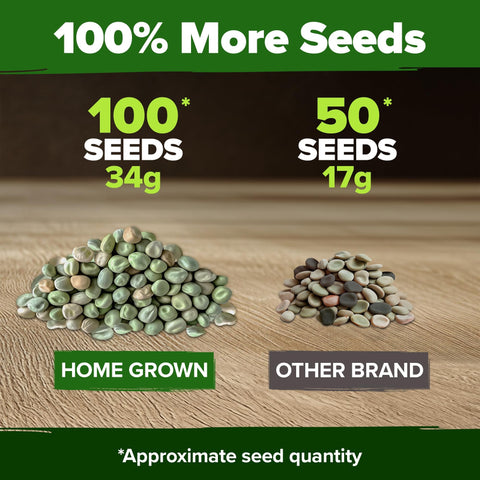 Organic Cascadia Snap Pea Seeds - 100 Seeds - Sweet Stringless Pods