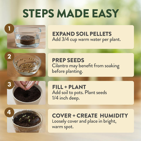 Indoor Herb Garden Kit - 4 Herb Varieties - Pots, Soil & Seeds