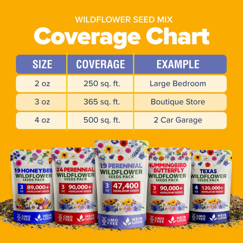 Wildflower Seed Mix - 47,400+ Seeds - 19 Annual & Perennial Varieties
