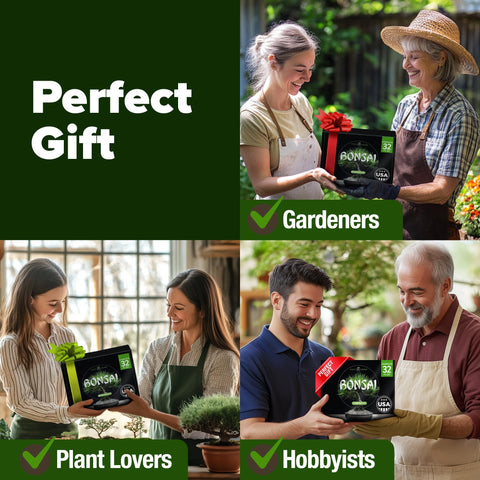 Bonsai Tree Grow Kit