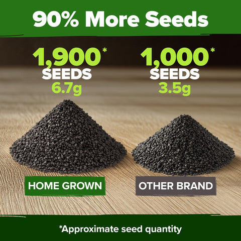 Onion Seed Pack - 8 Varieties - High Germination