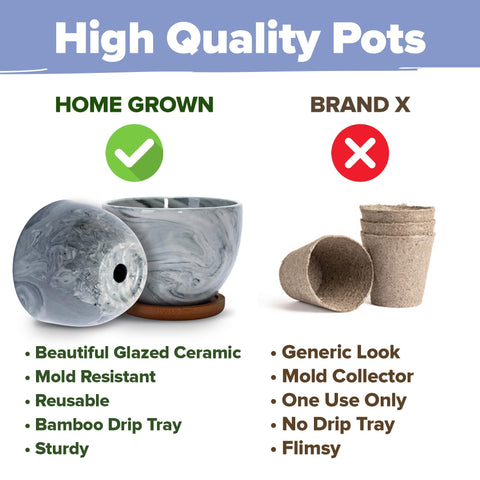 Indoor Herb Garden Starter Kit - (5 Variety)