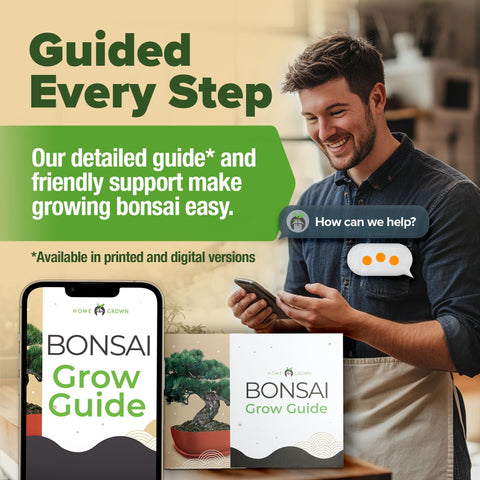 Bonsai Starter Kit - 6 Seed Varieties