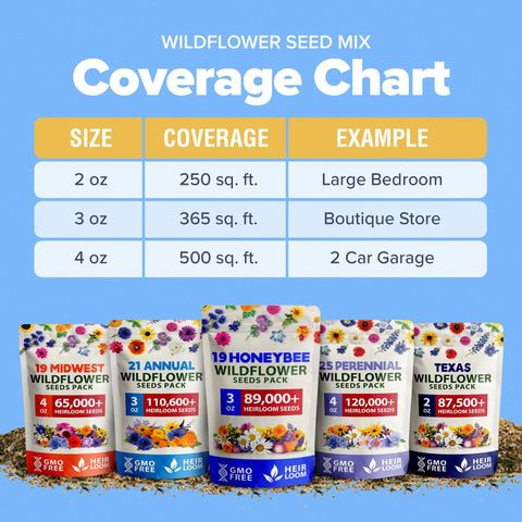 Honeybee Wildflower Seed Mix - 89,000+ Seeds (3 oz) - 19 Varieties