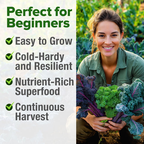 Kale Seed Pack - 4 Varieties (700+ Seeds)