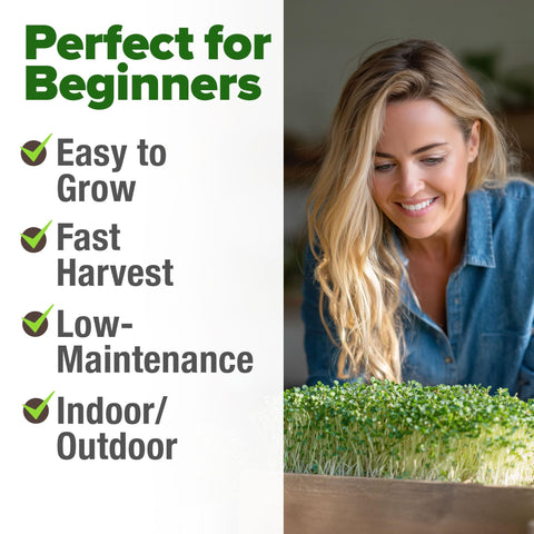 Broccoli Sprouting Seeds - 8 oz - Non-GMO USA Grown