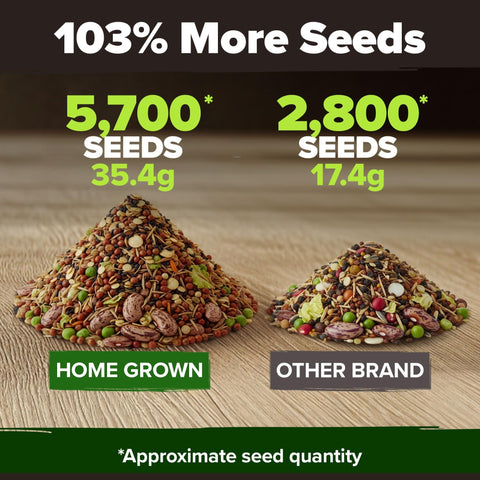 Heirloom Vegetable Seeds - (10 Variety)