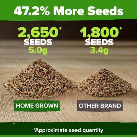 Herb Seed Pack - 6 Culinary Varieties - Indoor & Outdoor