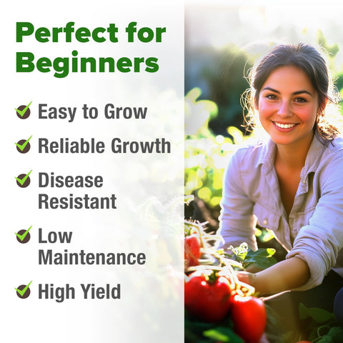 San Marzano Tomato Seeds - 100 Seeds (2-Pack) - Classic Sauce Tomato
