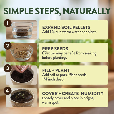 Organic Indoor Herb Garden Kit - 4 Herb Varieties - With Pots & Soil