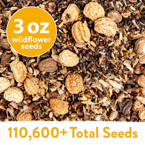 Annual Wildflower Seed Mix - 21 Varieties (3 oz) - Covers ~400 Sq Ft