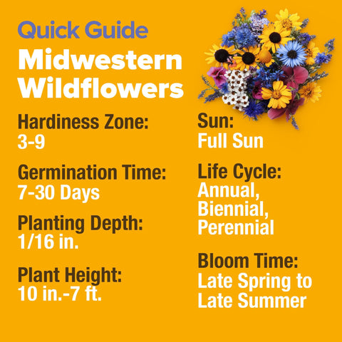 Midwest Wildflower Seed Mix - 19 Varieties (4 oz)