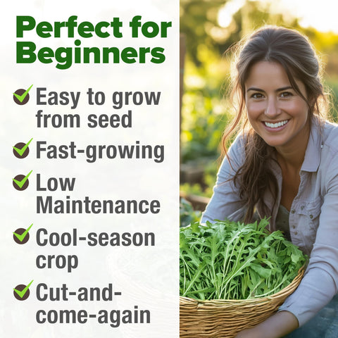 Arugula Seeds - 2,175 Seeds - Fast-Growing Salad Green