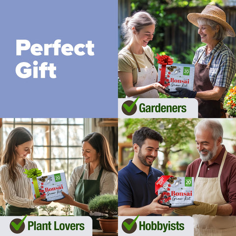 Indoor Herb Garden Starter Kit - (5 Variety)