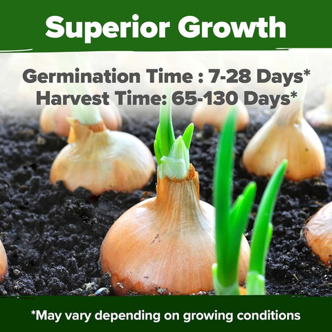 Onion Seed Pack - 8 Varieties - High Germination