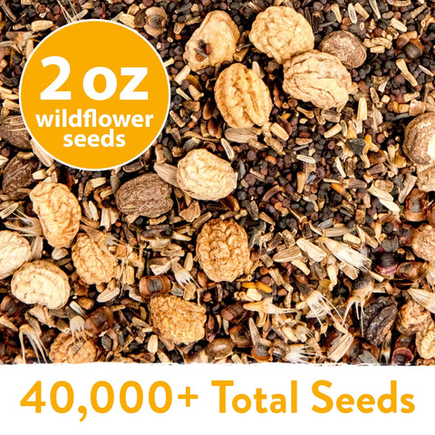 Perennial Wildflower Seed Mix - 60,600+ Seeds (2 oz) - 24 Varieties