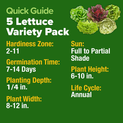 Lettuce Seed Pack - 5 Varieties (3,950 Seeds) - Salad Garden Mix