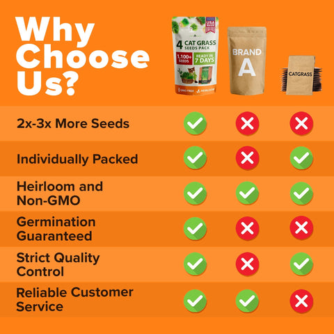 Cat Grass Seed Pack - 4 Varieties - USA-Harvested